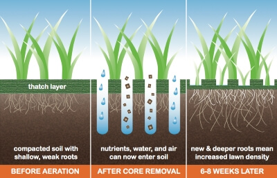 Core Aeration Knoxville, TN